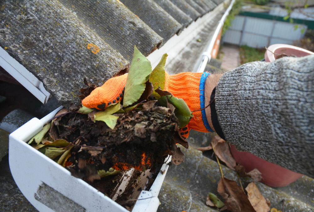 A man is cleaning a clogged roof gutter from dirt, debris and fallen leaves to prevent water damage and let rainwater drain properly.