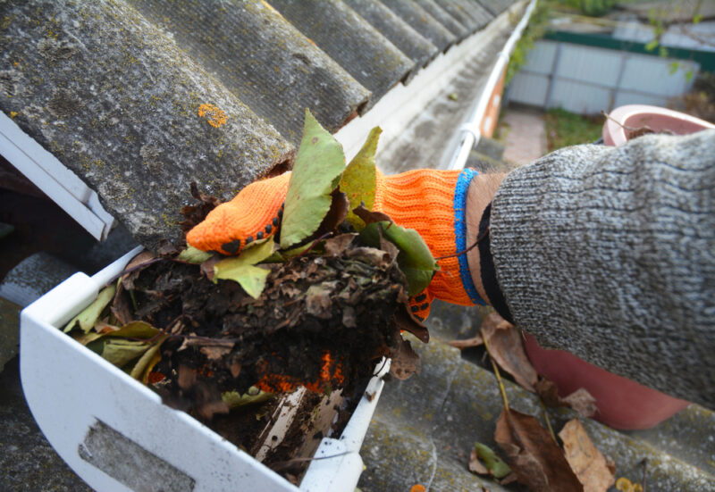 A man is cleaning a clogged roof gutter from dirt, debris and fallen leaves to prevent water damage and let rainwater drain properly
