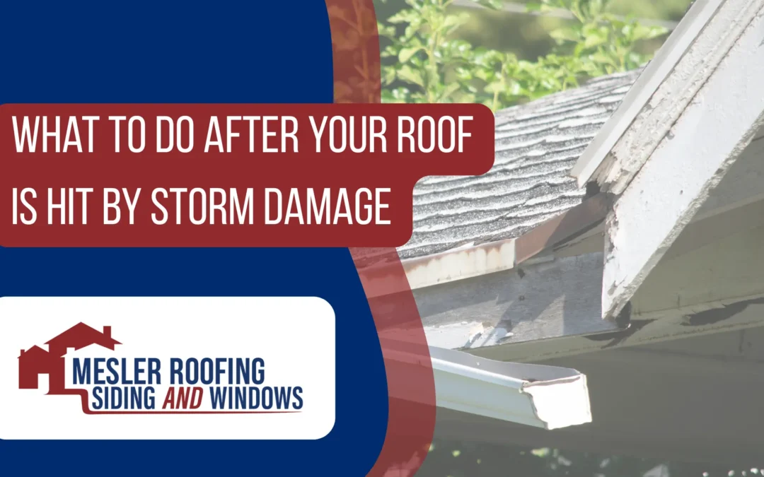 What to Do After Your Roof Is Hit by Storm Damage