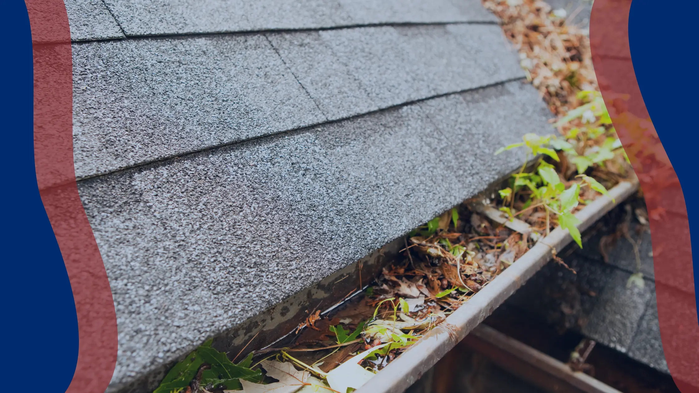 Mesler JulyAugust '25 Blog Covers (6) Gutter clogged with debris from heavy rain.